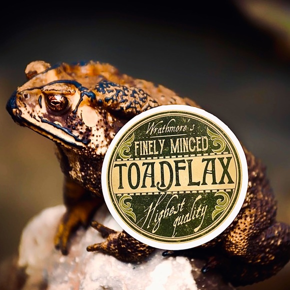 Toad Flax witchy Sorceress Supreme Potion Bottle Label Sticker - Picture 1 of 8